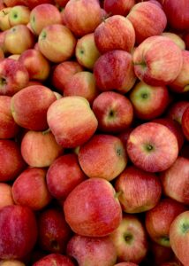 are apples good for weight loss